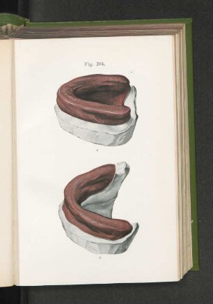Fig. 204.
