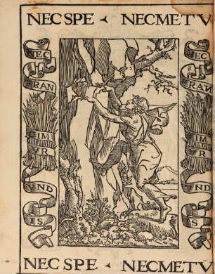 Le Notte D'Aphrica, Libro Secvndo