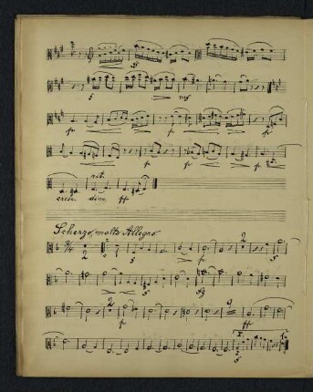 Scherzo, molto Allegro.