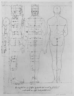 Mann von vorn, seitlich und hinten mit Proportionsangaben : Dresdner Skizzenbuch (1507/1528). Mann von vorn, seitlich und hinten mit Proportionsangaben (aus: R. Bruck: Das Skizzenbuch von Albrecht Dürer, Straßburg 1905, Tafel 13, Blatt 126 b, Str. 31, Kriegsverlust). Dresden: SLUB Mscr.Dresd.R.147.f