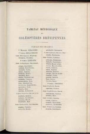 Tableau Methodique Des Coleopteres Brevipennes