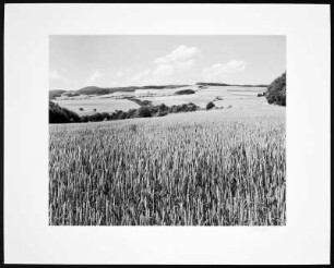 Foto, Krefeld