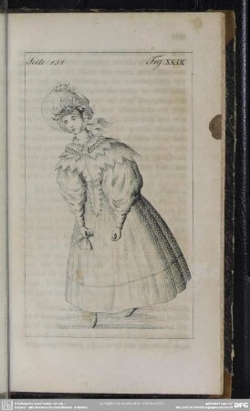 Seite 138. Fig. XXIX