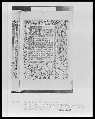 Stundenbuch, ad usum Romanum — Initiale D (eus) mit Rankenbordüre, Folio 80 recto