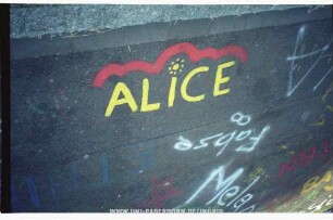 ALiCE