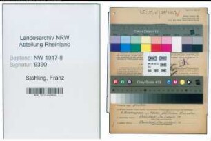 Entnazifizierung Franz Stehling , geb. 15.10.1908 (Schneidermeister)