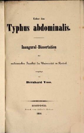 Ueber den Typhus abdominalis