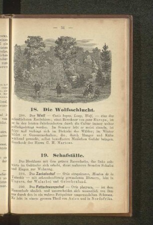 18. Die Wolfsschlucht.