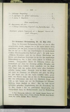 15. Die Grimmaer Versammlung, 20. - 21. Mai 1882