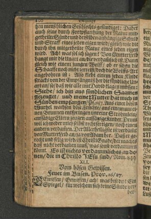 XLI. Vom bösen Gewissen. Feuer im Busen. Prov.16/27.