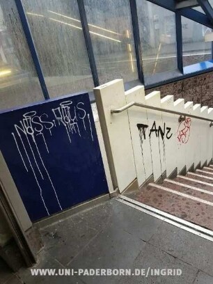 NaSS RaUS