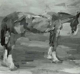 Pferd "Elster"