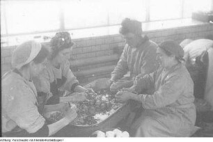 Werksküchen, Januar 1946