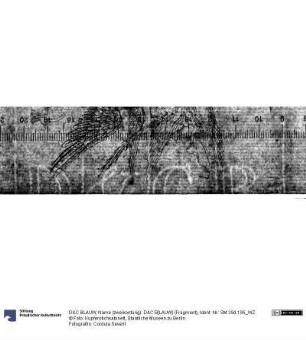 Name (zweikonturig): D&C B[LAUW] (Fragment)