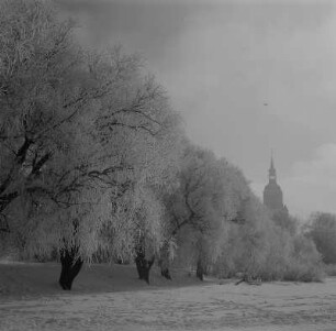Stralsund. Blick über den Knieperteich zur Nikolaikirche