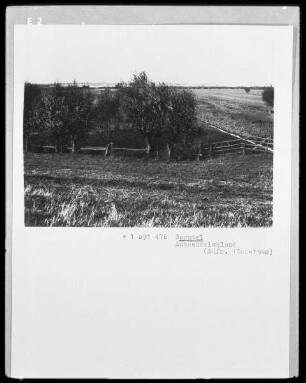 Landschaft bei Borstel Kreis Segeberg