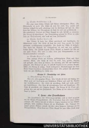 C. Feuer- oder Prunkbohnen