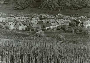 Winningen. Ortsansicht. Blick über die Weinberge
