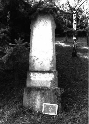 Grabstein 6 (Index: 100100984) Material: Kalkstein Zustand: leicht verwittert Maße HxBxT: 189x56x23 cm Beschreibung: Stele, getreppter Sockel, Rundbogenabschluß Symbolik: Davidstern: Grabstein 6