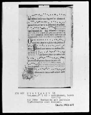 Antiphonarium (Benediktinerhandschrift) — Initiale I (n ferventis olei dolium), Folio 255 verso