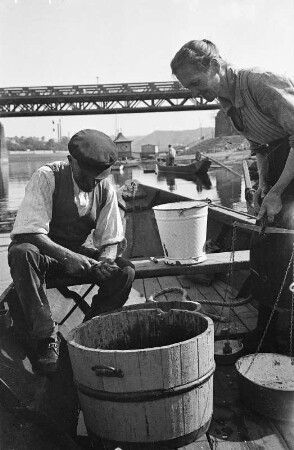 Meißen. Ein Fischer schlachtet kleine Fische aus. Blick stromauf zur Eisenbahnbrücke über die Elbe
