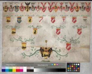 Proband: Asseburg, Christina Theresia Theodora Agnes Elisabeth von der (Rückseite: Anneke Lisabeth); Vater: Asseburg, Hermann Ludwig von der; Mutter: Haxthausen, Ottilia Elisabeth Dorothea von: [Neuenheerse, Stift]