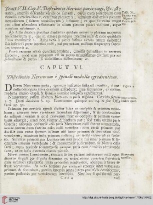 Caput VI: Distributio Nervorum è spinali medulla egredientium
