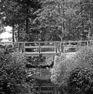 Glinder Au: hinten Holzbrücke des Wanderwegs: vorn Sträucher: dahinter Bäume