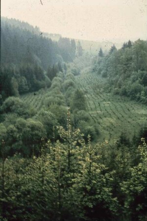 Fotografie: Landbewirtschaftung, Siedlungswesen