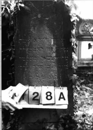 Grabstein 328 (Index: 100093117) Zustand: mit Efeu bewachsen Maße HxBxT: 167x39x25 cm: Grabstein 328A