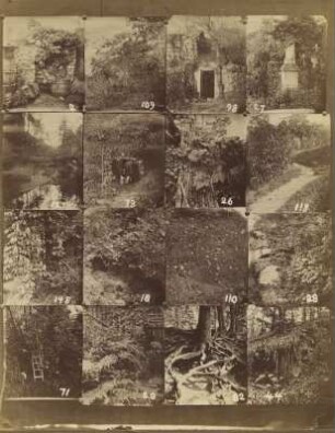 Angebotsbogen 1 mit 16 Motiven : Angebotsbogen 1 mit 16 Motiven (Blatt- und Wurzelwerk, Teich, Weg, Schleifstein, Archivnummern 2, 109, 98, 27,127, 13, 26, 118, 148, 18, 110, 28, 71, 20, 82, 44), Preis je Abzug zwischen 3 und 6 Pfennig