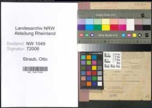 Entnazifizierung Otto Straub , geb. 17.09.1895 (Werbetechniker)