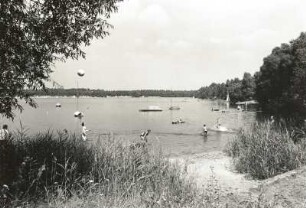 Groß Särchen. Knappensee, Badestelle mit verschilftem Ufer bei Koblenz