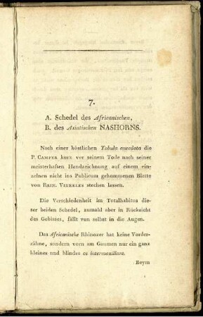 7. A. Schedel des Africanischen, B. des Asiatischen Nashorns