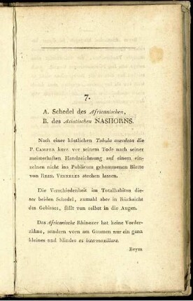 7. A. Schedel des Africanischen, B. des Asiatischen Nashorns