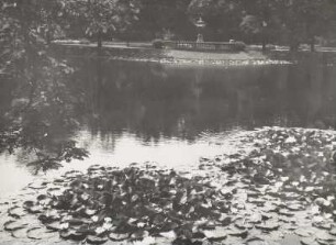 Albertpark