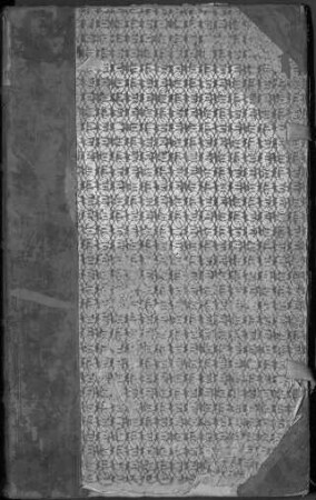 Protokolle des gemeinschaftlichen Amtes (Causis mixtis)