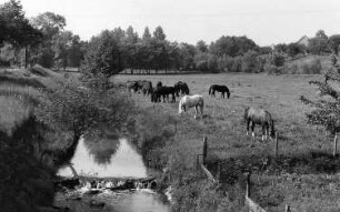 Klipphausen. Saubach an der Brücke beim Gut