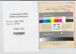Entnazifizierung Kurt Krebs , geb. 09.11.1908 (Sparkasseninspektor)
