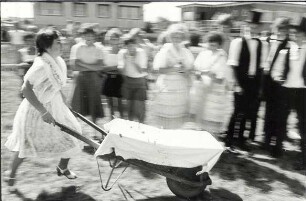 Erntebrauch in Tauer : Gesellschaftliche Volkskultur - Herbst. Ort: Turjej / Tauer. Hahnrupfen (łapanje kokota). Vgl. Lětopis C 27 (1984).
