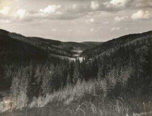 Osterzgebirge. Im Naturschutzgebiet Bienhof bei Oelsen