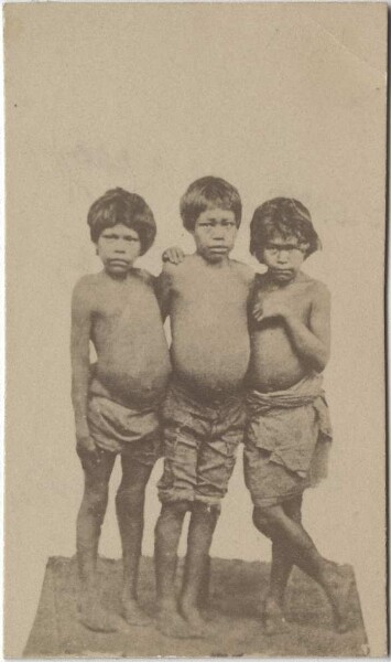 Three children of the "Botokuden" (Krén, Krenák)