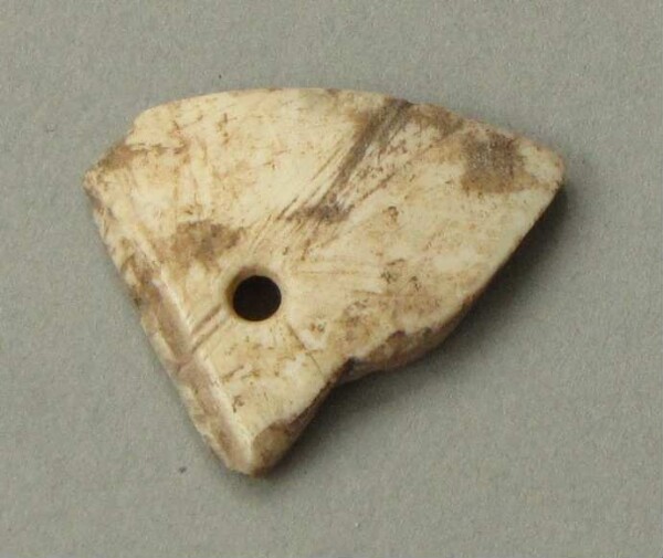 Shell ornament