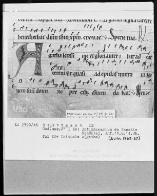 Antiphonarium de Sanctis (Zisterzienserhandschrift) — Initiale A(gatha), Folio 22verso