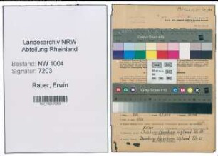 Entnazifizierung Erwin Rauer , geb. 21.10.1904 (Arbeiter)
