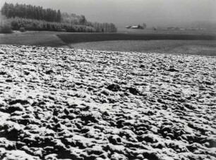 Winterlicher Acker,