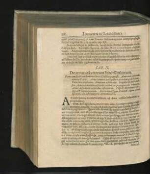 Cap. II. De armatura veterum Sveo-Gothorum.