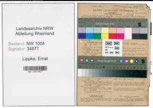Entnazifizierung Ernst Lippke , geb. 14.10.1904 (Schweisser)
