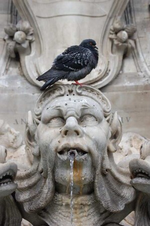 Brunnen vor dem Pantheon