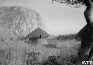 Umgebung von Mutoko : Rundhütte in Savannenlandschaft mit Berg im Hintergrund